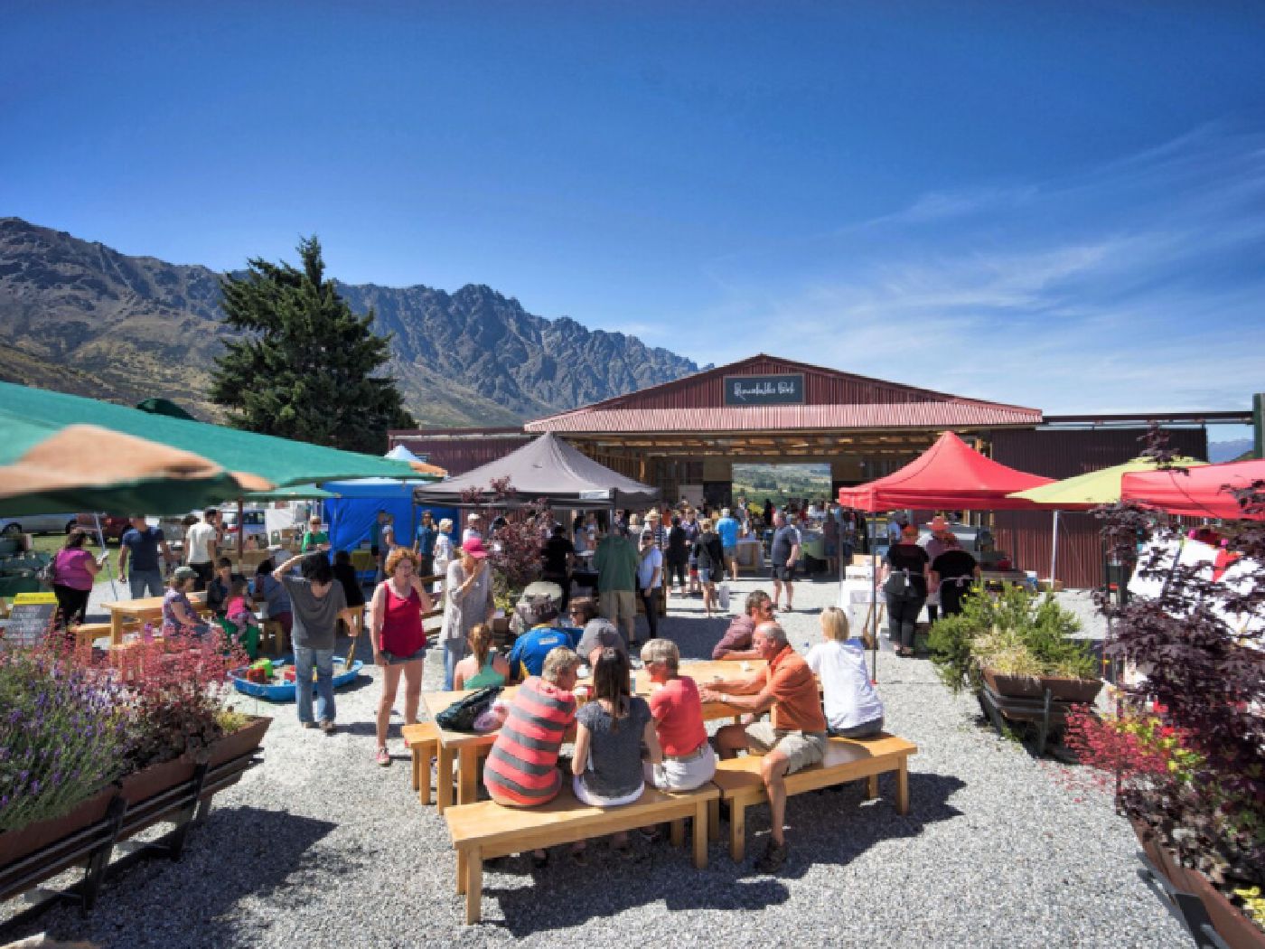 Farmers market Queenstown